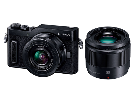 パナソニック LUMIX DC-GF10W ダブルレンズキット